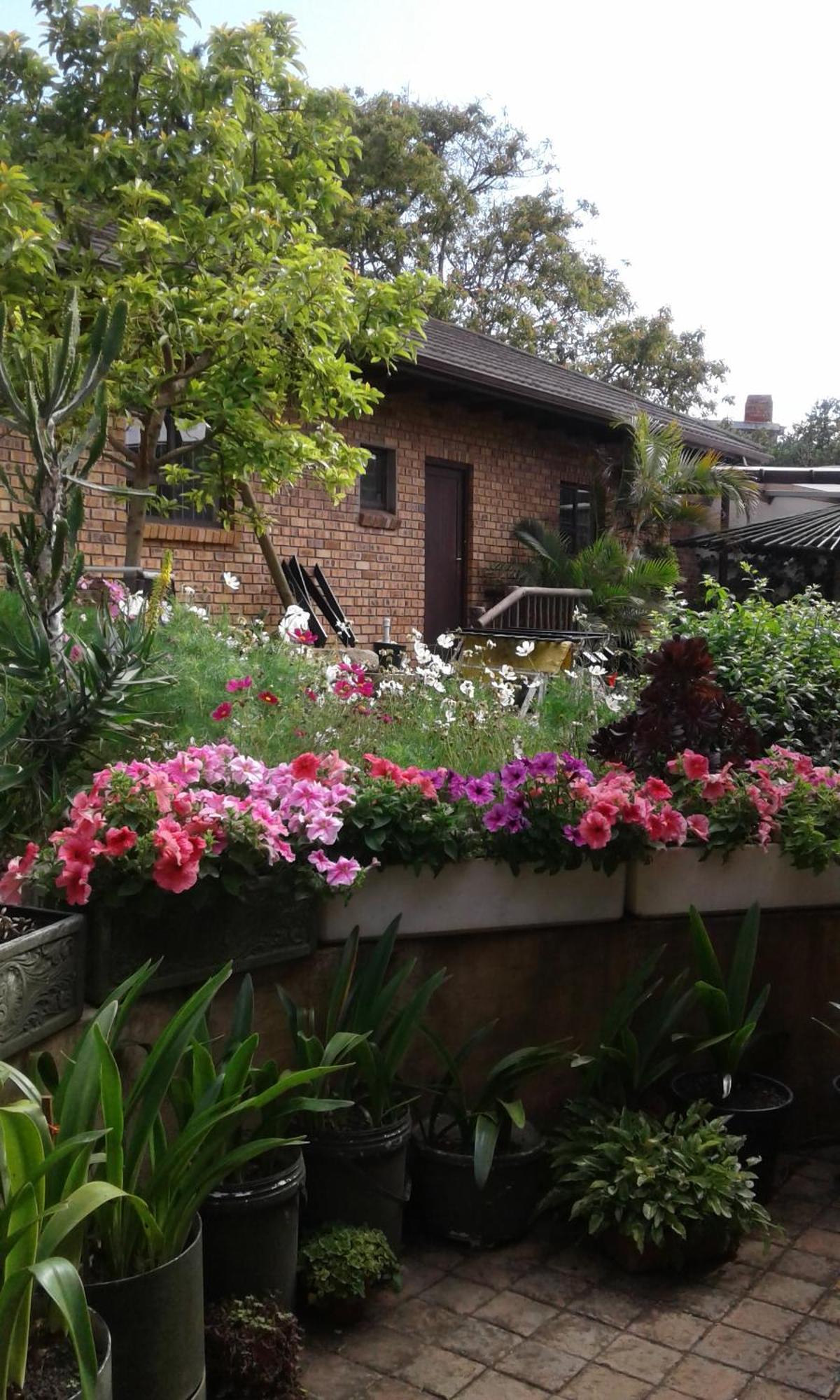 Marlin Cottage شنتسا الغرفة الصورة